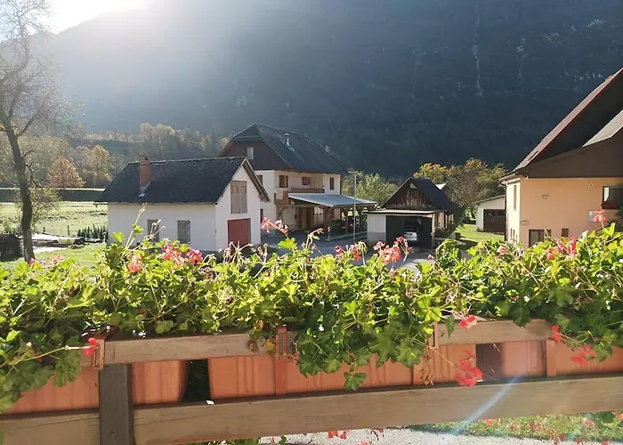 Over The River * Bovec