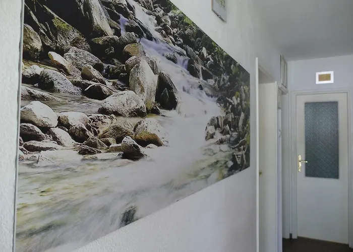 Holiday Over The River بوويتش